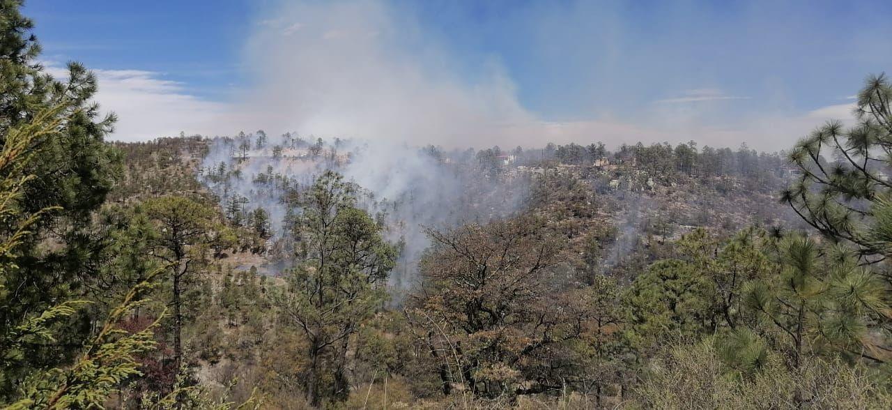 Indendios forestales se incrementan en tiempo de calor. Foto: Jesús Carrillo.