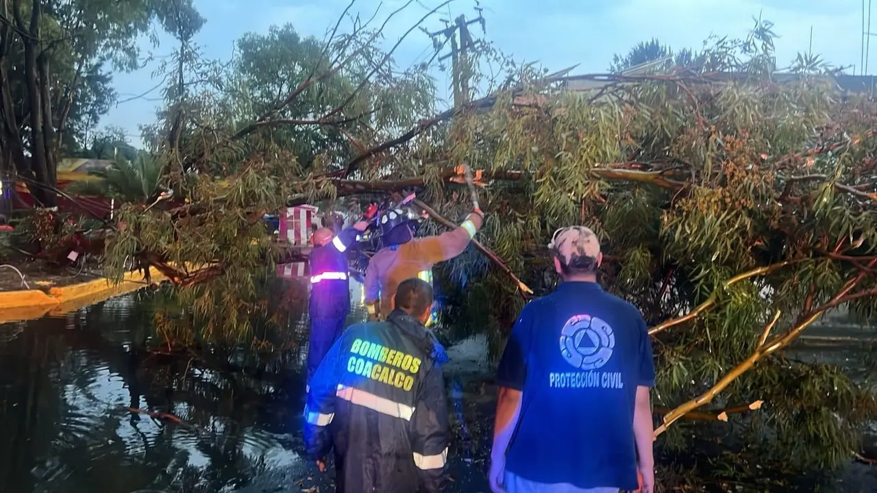 Encharcamientos y árboles caídos fueron de los principales daños que dejó la lluvia. Foto: Gob. de Coacalco