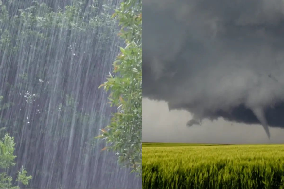 Lluvia intensa sobre árboles y torbellino sobre un campo con un cielo nublado. Foto: Especial