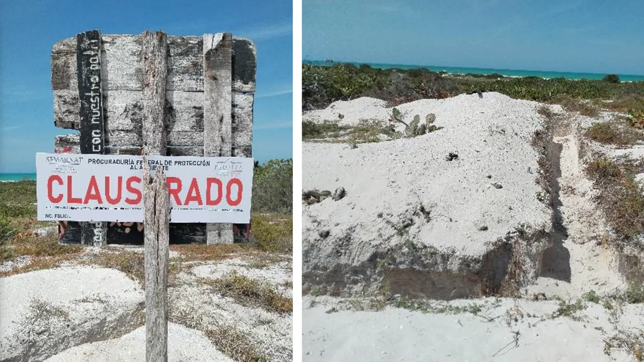 La Procuraduría se encargó de colocar los sellos respectivos para clausurar la obra Foto: Cortesía