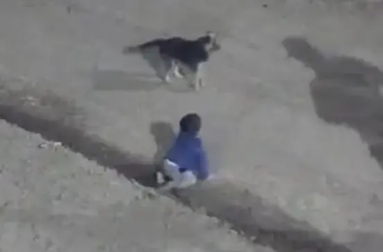 Encuentran a bebé gateando solo de noche en Argentina