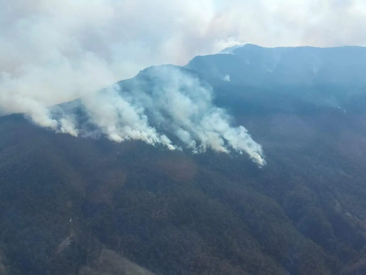 En la imagen un incendio forestal suscitado en Villa Díaz Ordaz, Oaxaca. Foto: X @COESFO_GobOax