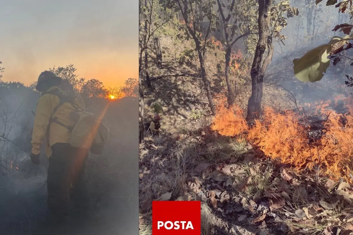 Brigadistas combaten incendios en Tlaquepaque y Tlajomulco. Foto: POSTA