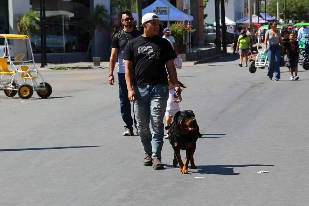 Es importante no sacar a pasear a las mascotas en los horarios con más calor. (Fotografía: Gobierno de Torreón )