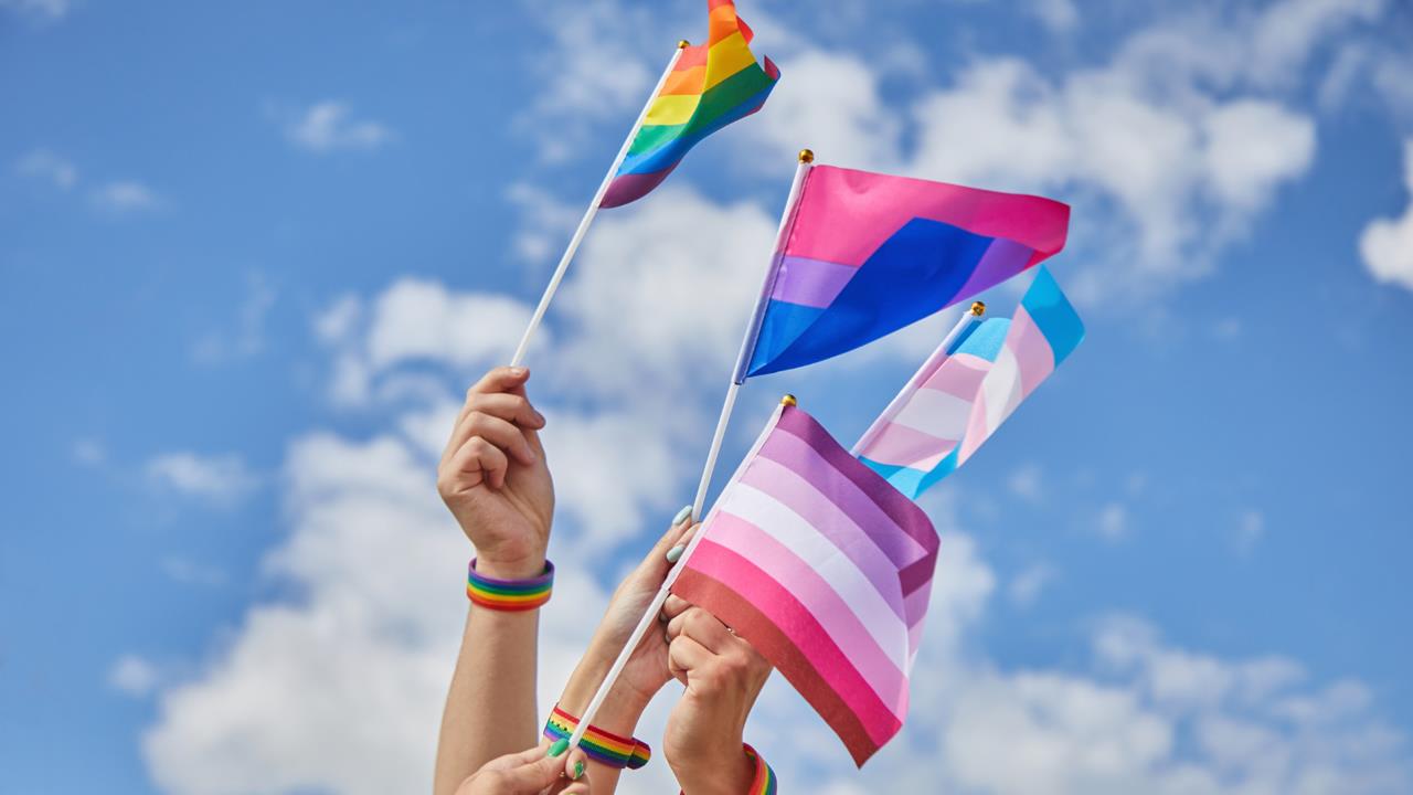 Banderas de la comunidad LGBTIQ . Foto: @vetrestudio