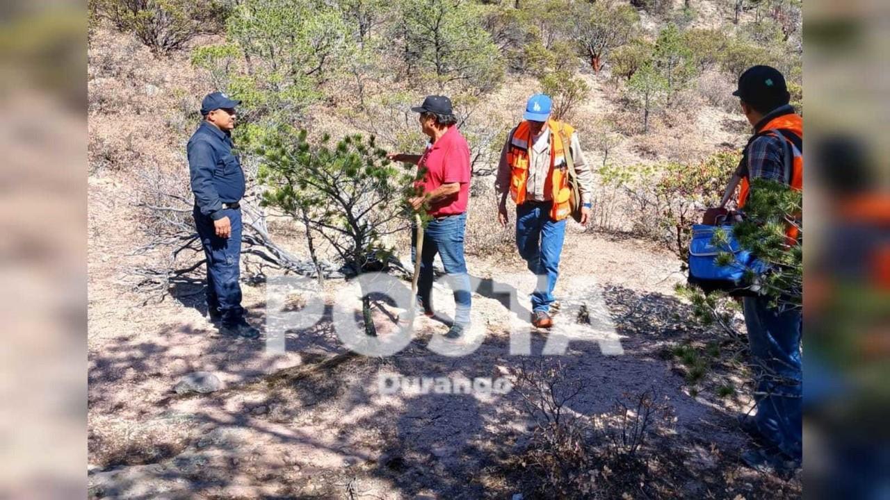 El saldo de personas lesionas fue un total de cinco en este accidente aéreo. Foto: Especial/ POSTA Mx.