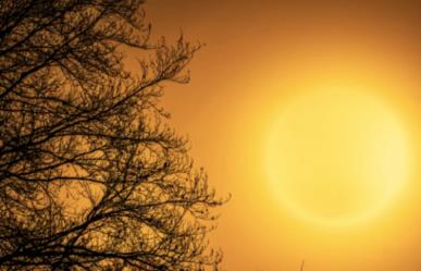 Tercera ola de calor en México: 12 estados por arriba de los 45 °C