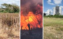 Alerta sobre sequía, incendios e impacto del desarrollo inmobiliario en Yucatán Alerta sobre sequía, incendios e impacto del desarrollo inmobiliario en Yucatán