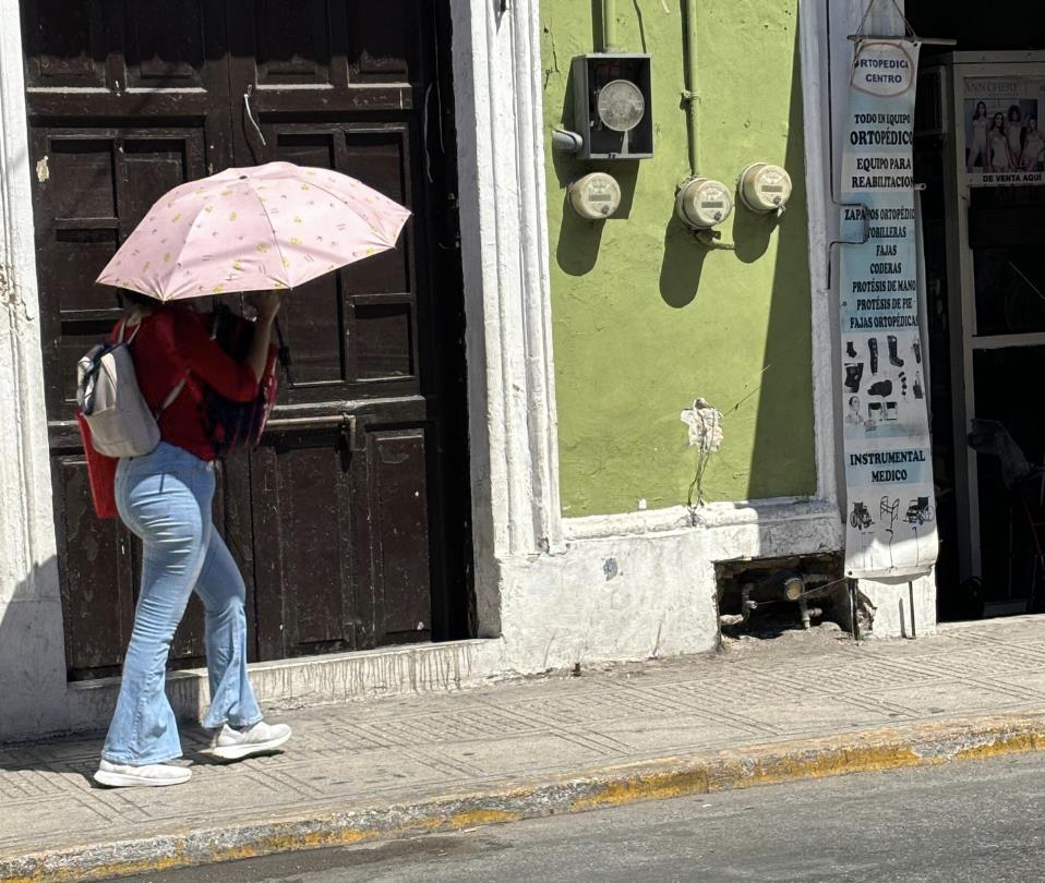 Una nueva jornada de intenso calor con temperaturas extremas superiores a los 40 grados se prevén para este viernes.- Foto de Alejandra Vargas