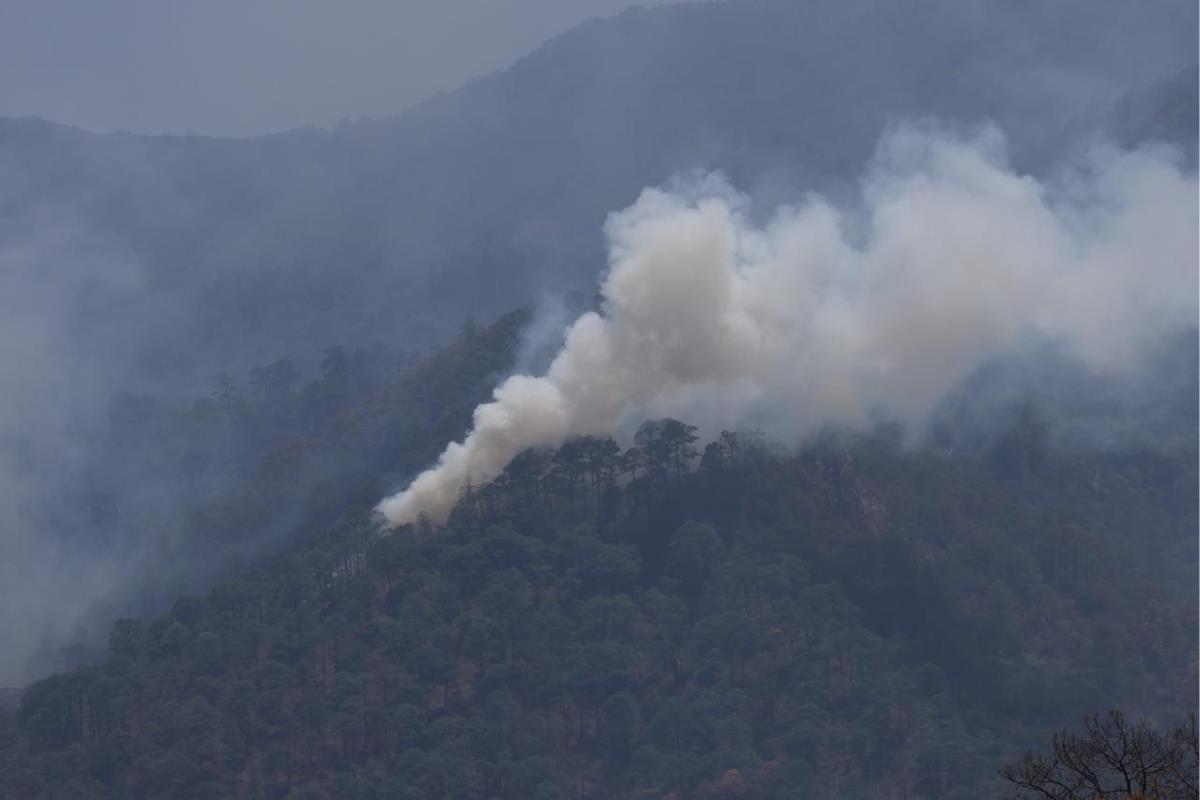 Incendio forestal del Cañón del Novillo se reactiva en Tamaulipas