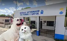Mérida: Cierran Módulo Veterinario Chichén Itzá hasta nuevo aviso