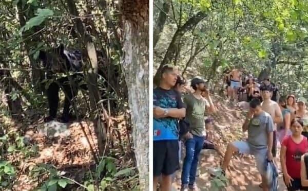 Los al menos 20 senderistas varados en La Estanzuela a la espera que se retire el oso. Foto: El Blog del Regio.