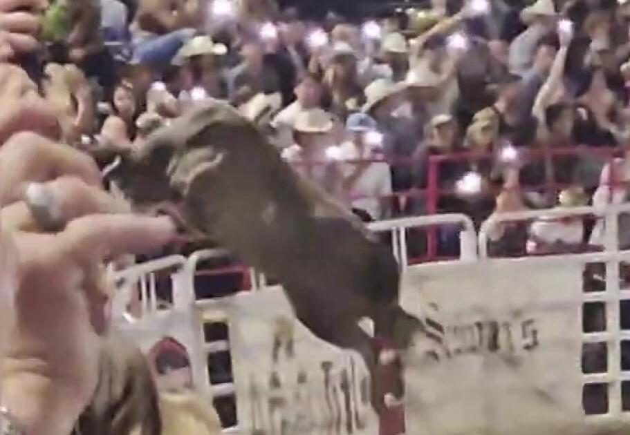 El toro hacía un recorrido por el rodeo pero inesperadamente saltó a la grada donde había muchas personas. Foto: X @LorenzoLizarazo.