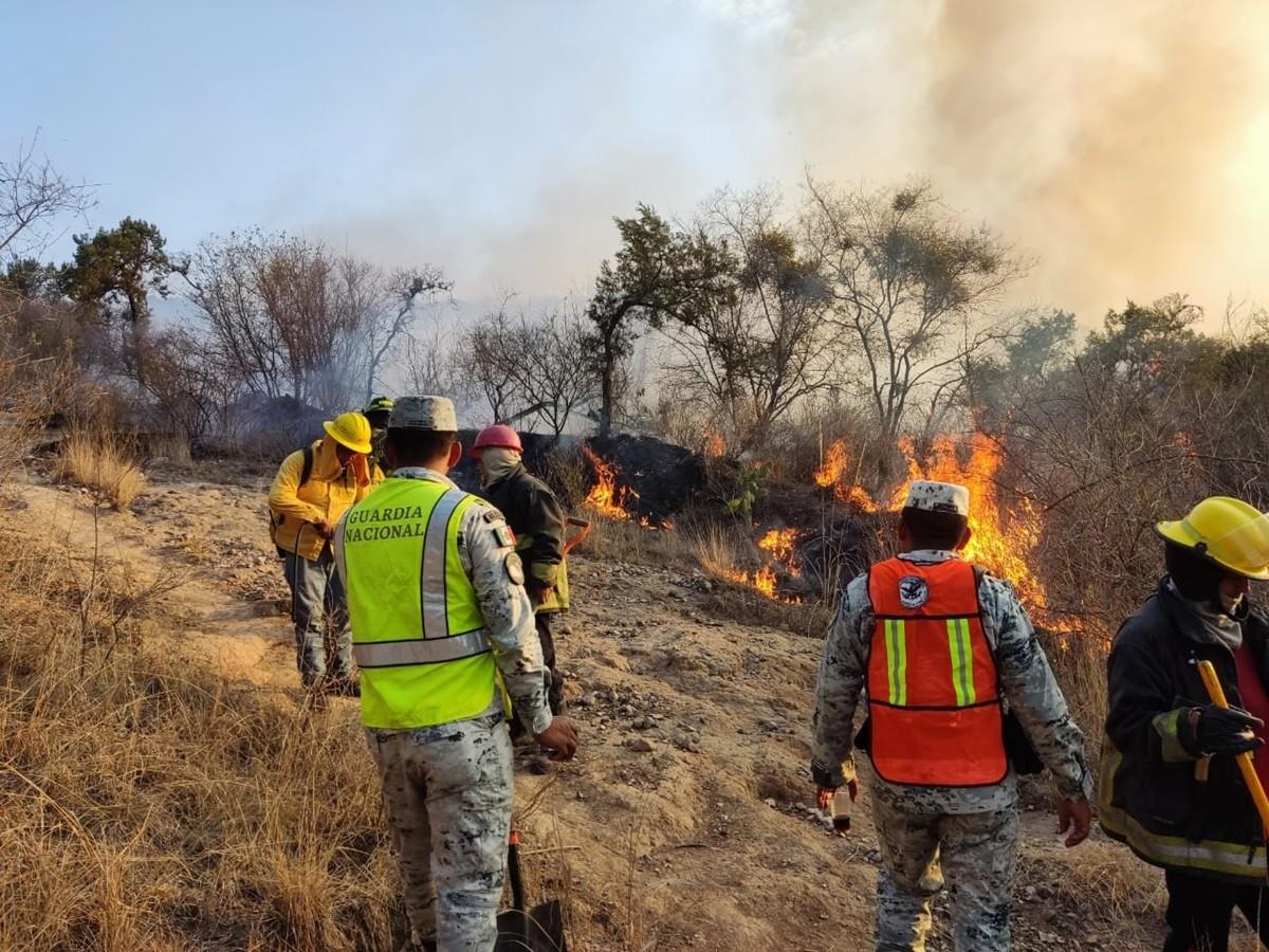 Más de 4 mil combatientes luchan contra los 106 incendios forestales activos en México. Foto: X @GN_MEXICO_