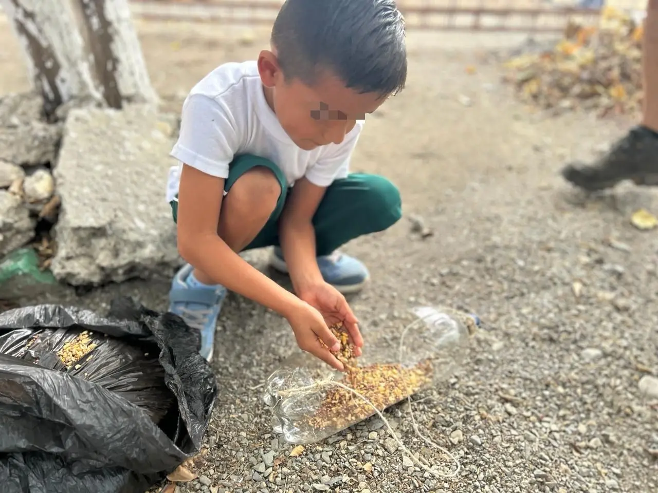 Niños elaboran bebederos con material reciclado para aves y fauna silvestre. Foto: Redes sociales