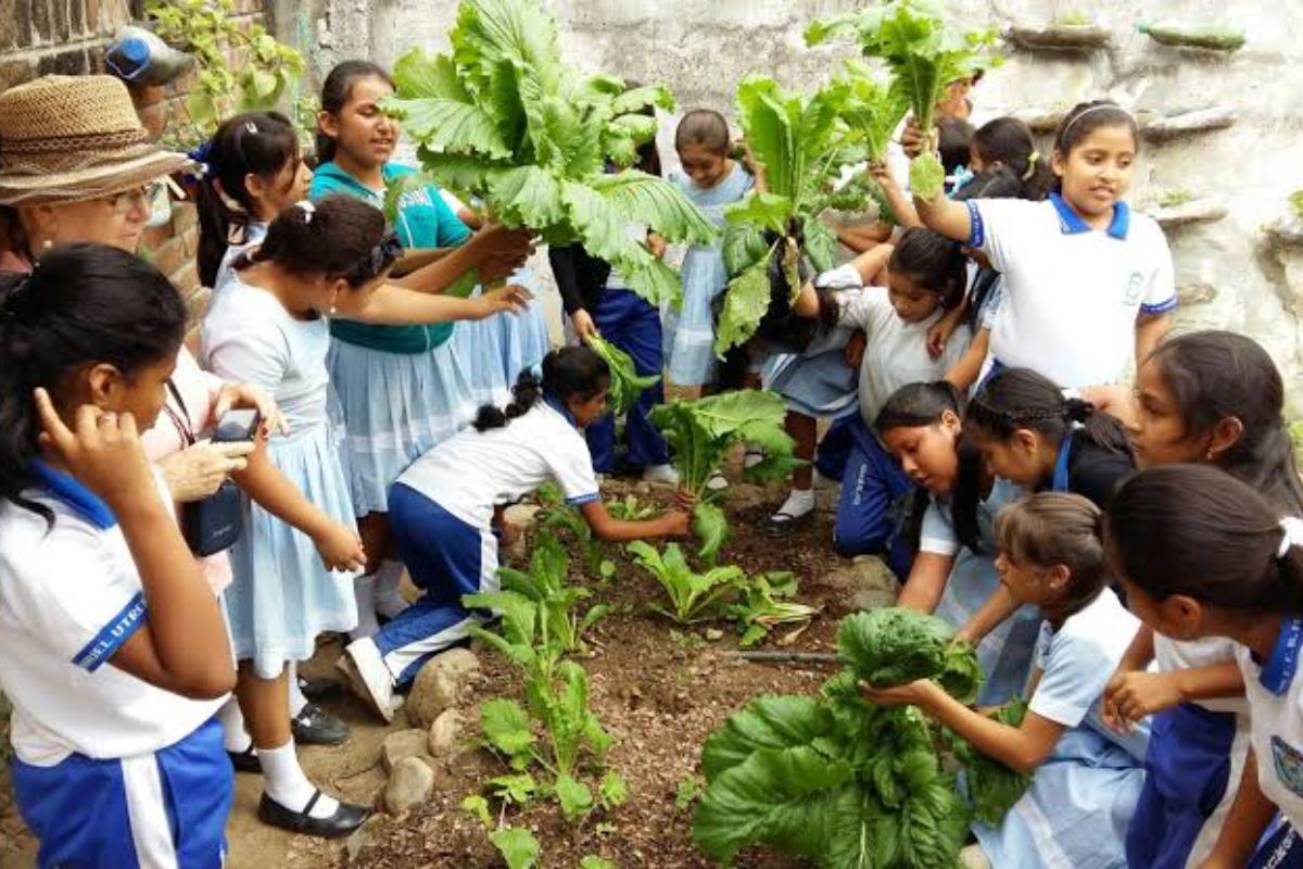 Los estudiantes tamaulipecos deben ser educados en la conservación de la flora y fauna, propone la iniciativa presentada ante el Congreso de Tamaulipas. Foto: SEMARNAT