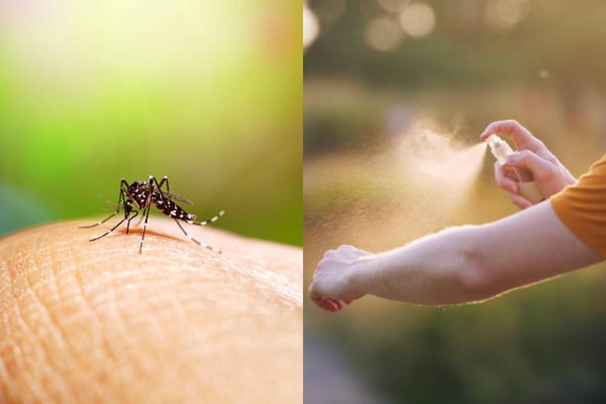 Alerta por dengue por México Foto: Especial