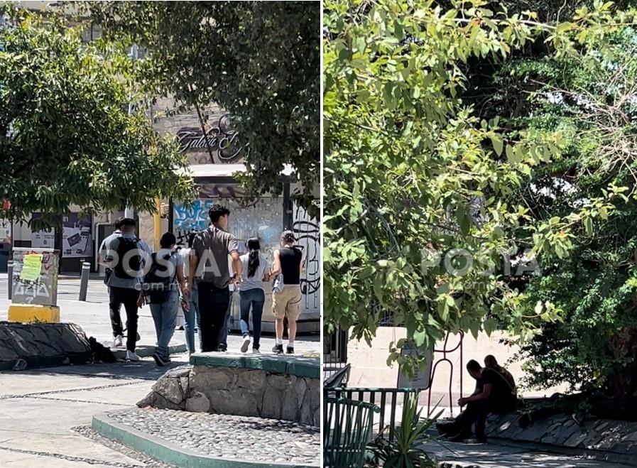 Plaza del Roble, ubicada en 15 de Mayo y Juárez, en el centro de Monterrey. Foto. Rosy Sandoval