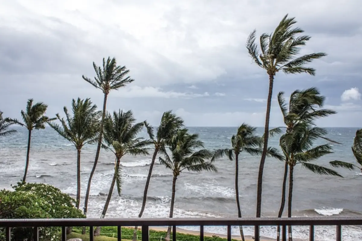 Activan Alerta Naranja para norte de Veracruz. Foto: Pixabay