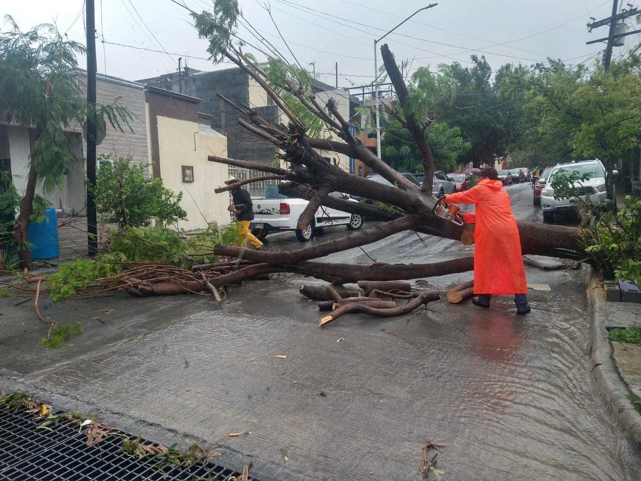 Con estas acciones, el Gobierno de Santa Catarina busca garantizar la seguridad y el bienestar de los ciudadanos. Foto: Santa Catarina.