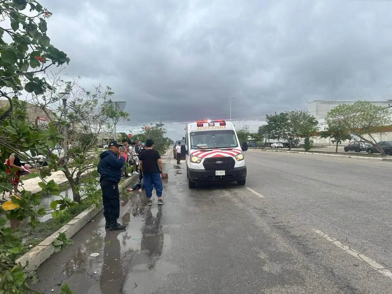 La SSP tomaron nota del incidente y detuvieron al conductor del vehículo. Foto: Redes sociales