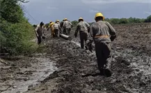 CFE restablece electricidad en Nuevo León, Hidalgo y Tamaulipas tras Alberto