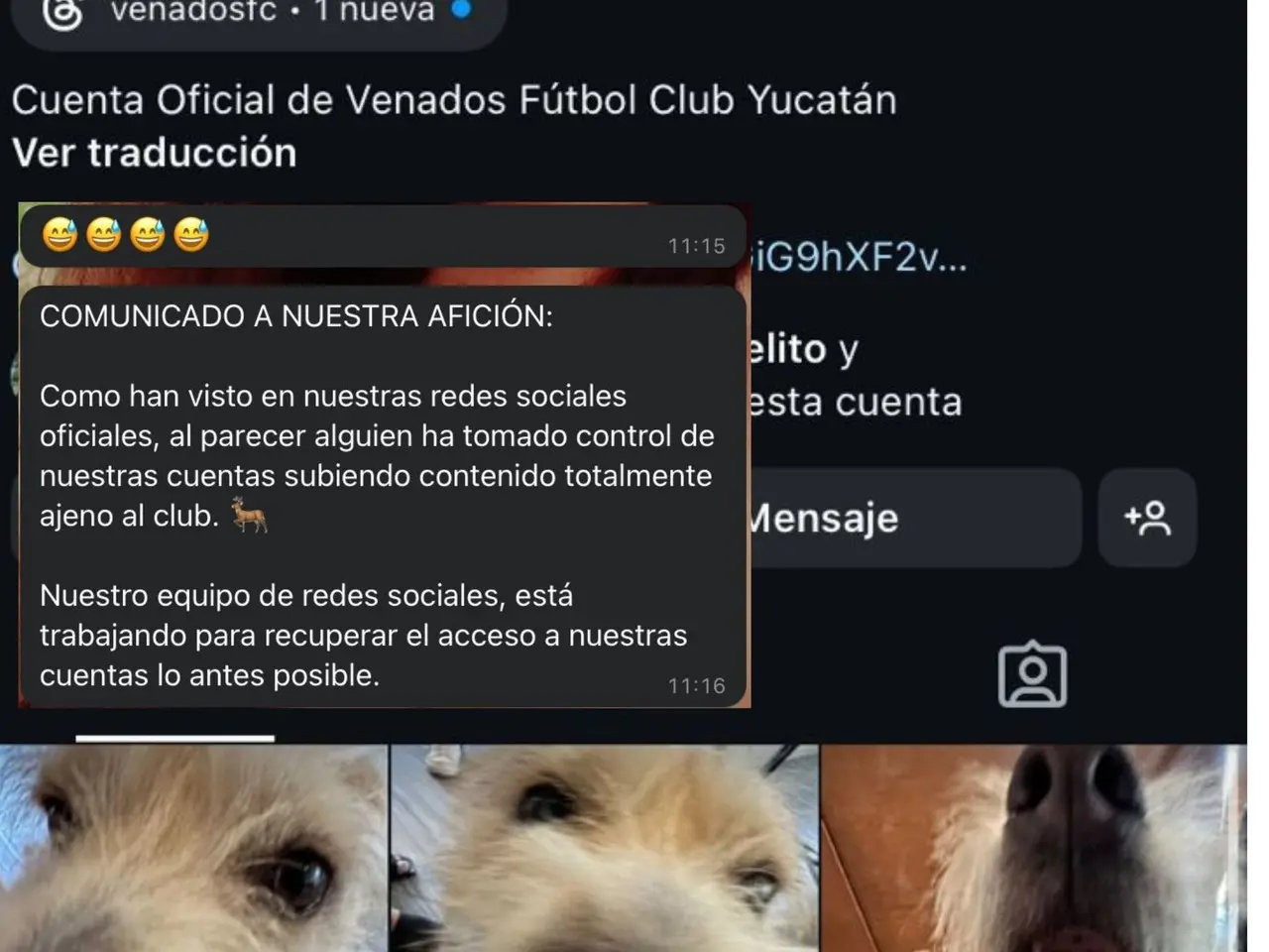 La mañana de este jueves usuarios de redes sociales se mostraron sorprendidos por las publicaciones que se realizaron en las cuentas del club de fútbol Venados FC Yucatán.- Foto de redes sociales