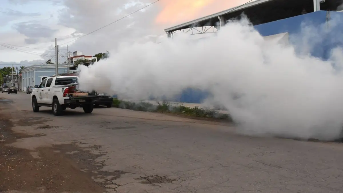 Las enfermedades transmitidas por vector son: dengue, zika y chinkungunya Foto: Cortesía