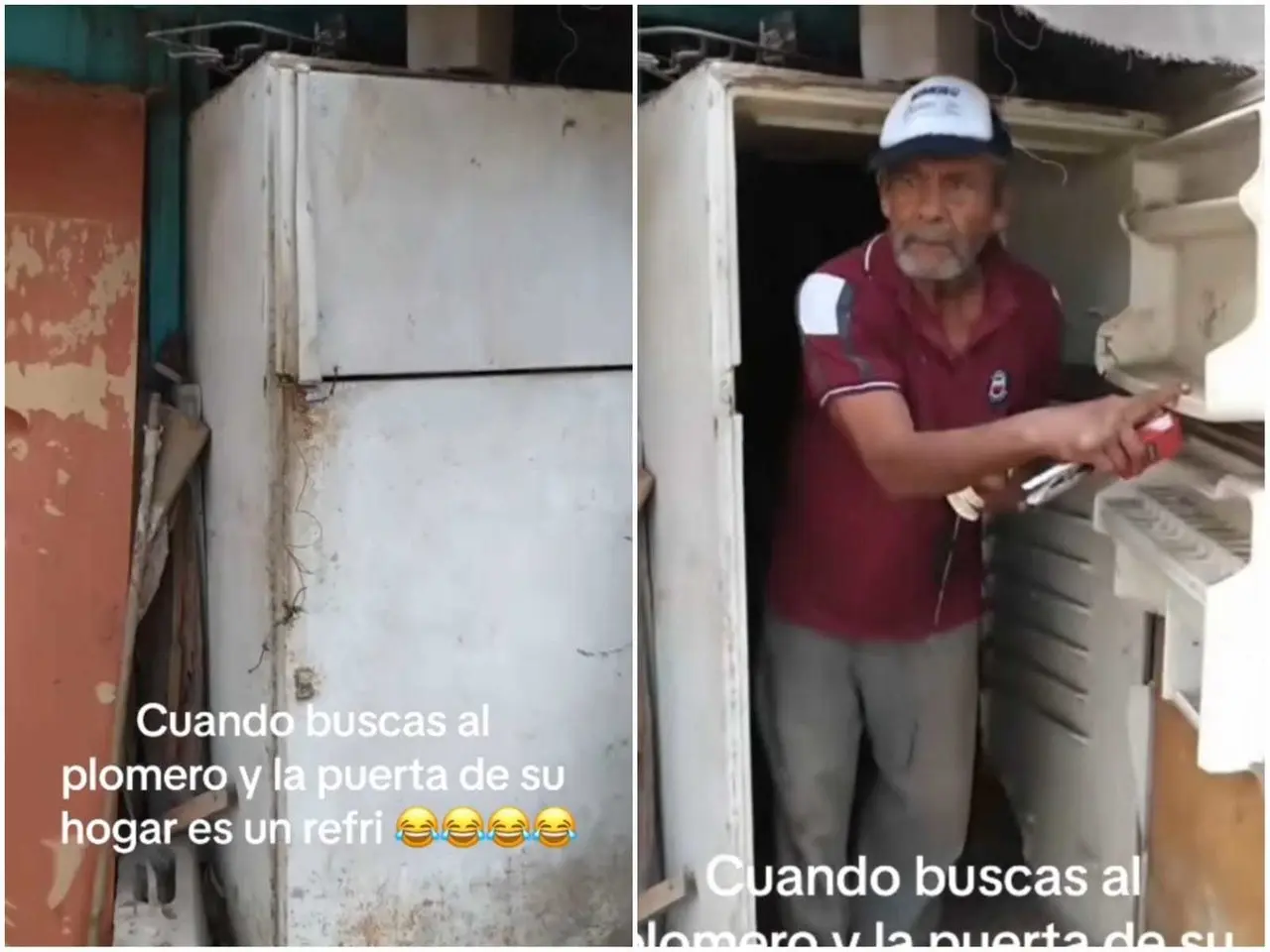 Este peculiar suceso ha llamado la atención de miles de personas en todo el mundo. Foto: Tiktok.