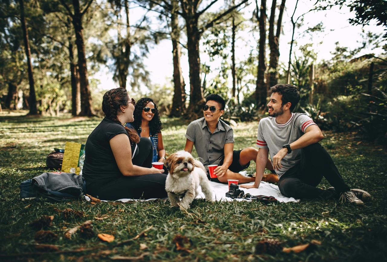 Celebrarán Petflix en el bosque urbano de Saltillo. Foto de Pexels.