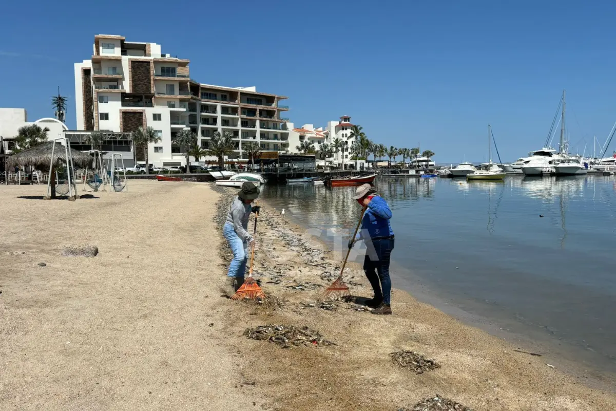 COEPRIS asegura que la calidad del agua en las playas de la bahía de La Paz es buena y apta para el baño. Foto por Joel Cosío