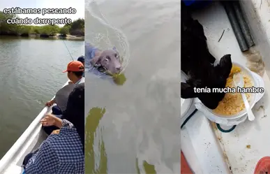 Grupo de pescadores salva a perrita en apuros (VIDEO)