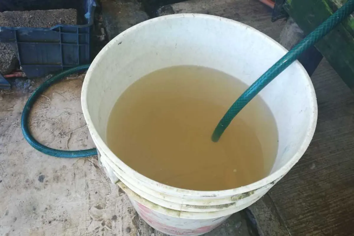 De las llaves de los usuarios del sur de Tamaulipas continúa saliendo agua amarillenta y maloliente. Foto: Carlos García