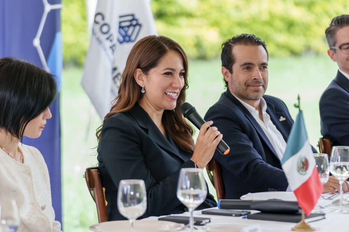 Libia Denisse haciendo uso de la palabra durante reunión Foto: X(Twitter) @LibiaDennise