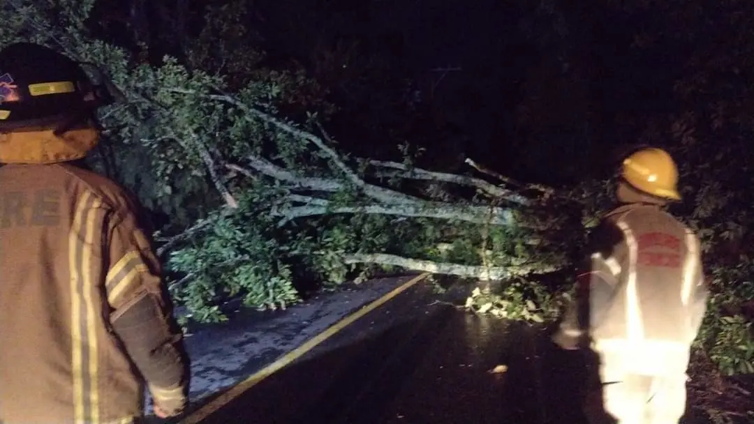 Lluvias causan caída de árboles y cierre de carreteras en Tenancingo. Foto: RRSS