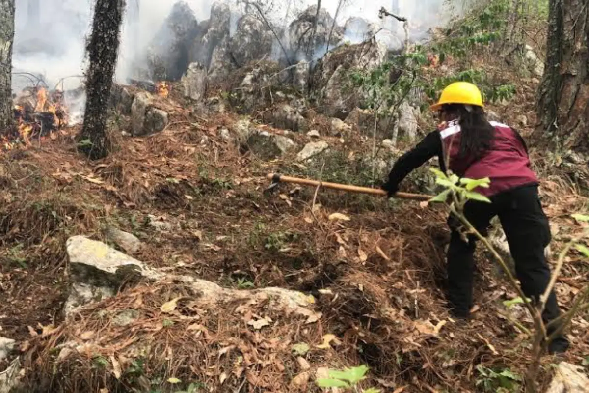 Brigadistas previenen incendios por medio de brechas cortafuegos en zonas serranas. Foto: Victoria Jiménez