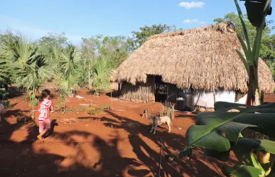 ¿Cómo están hechas las Casas Mayas?