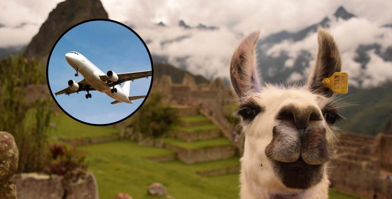 Los jubilados habían pactado un viaje a Perú. (Fotografía: Canva)