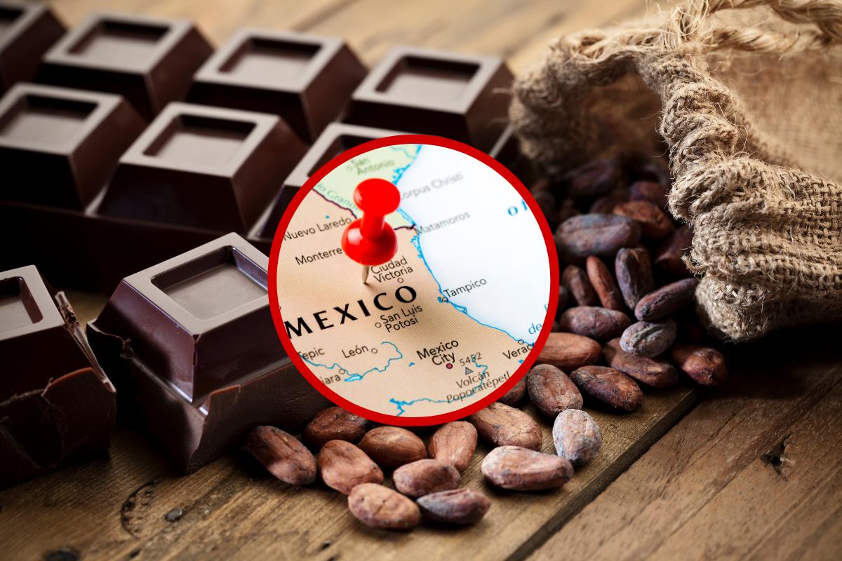 Estos datos no solo resaltan la importancia del cacao en México, sino también la relevancia de este país en el panorama global del chocolate. Foto: Canva.