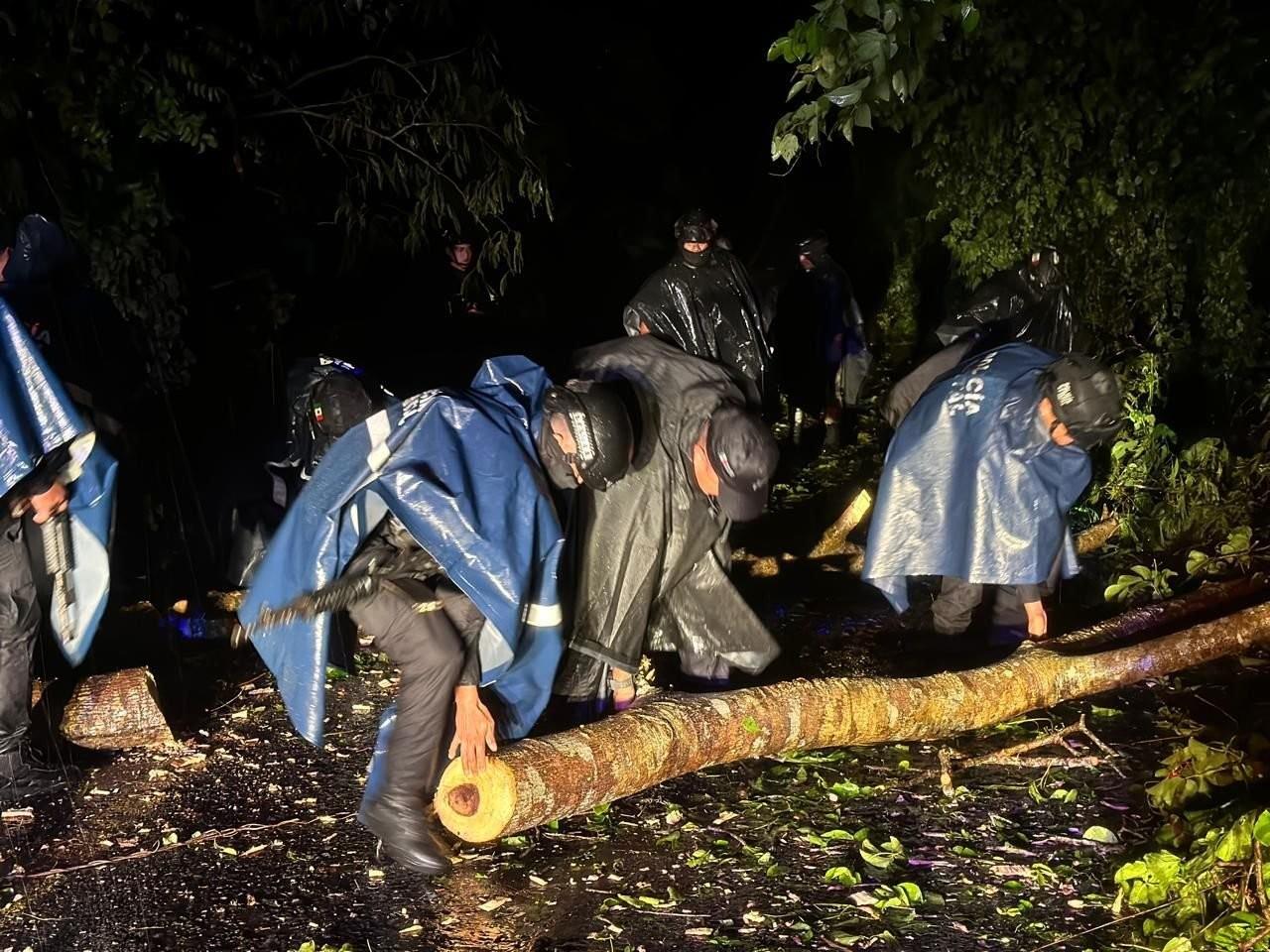 Rescatistas levantando un árbol caído por la tormenta. Foto: X @Canal13Puebla.