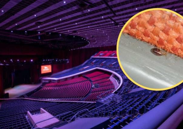 ¡Chinches en Auditorio Nacional! Usuarios reportan plaga tras video viral