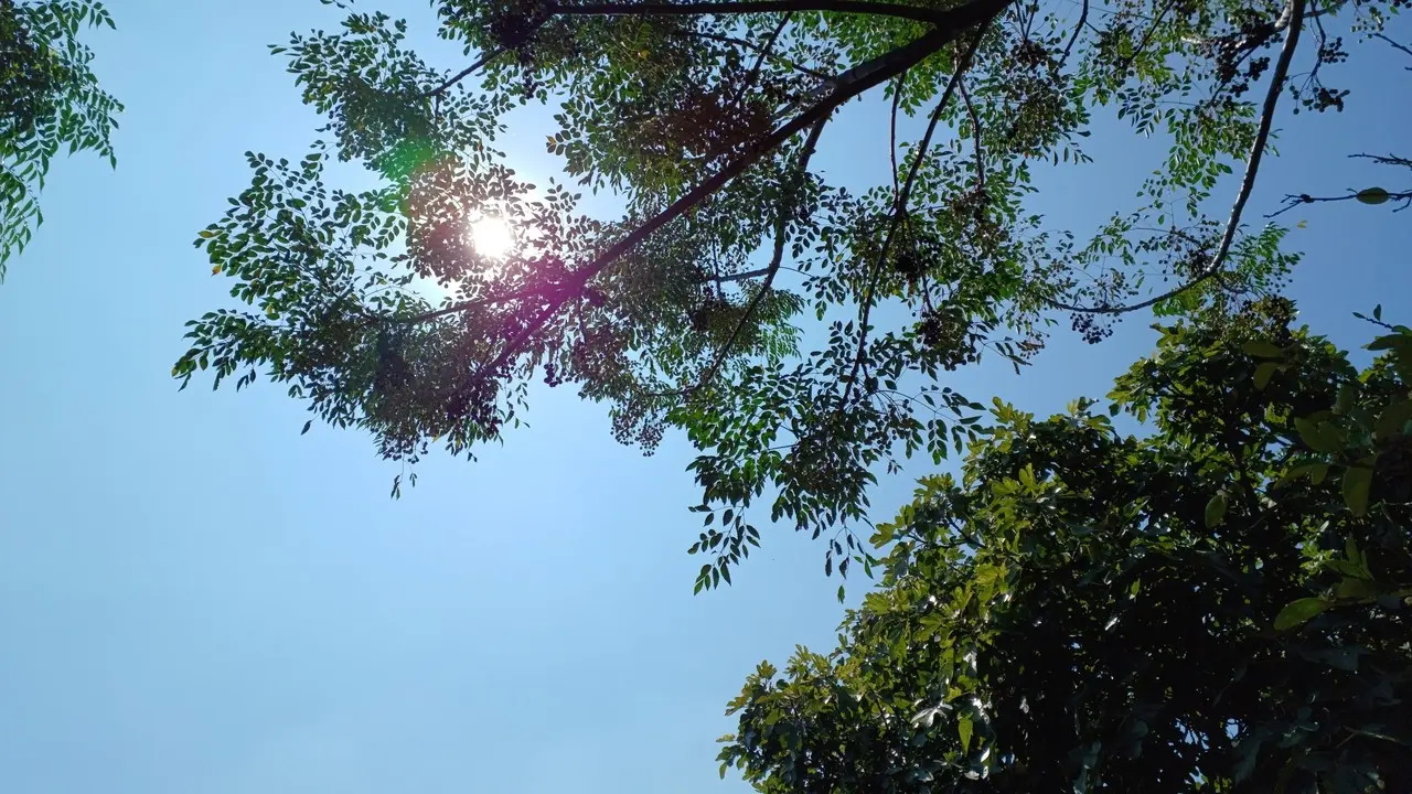 Conoce el clima para este 13 de octubre en el estado de Durango, carecerá de lluvias con excepción de la zona sur. Foto: Gerardo Lares.