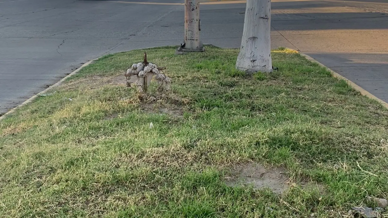 En varias ciudades de México se pueden ver cruces sobre las calles, camellones o carretera aquí te decimos su significado. Foto: Brenda García.