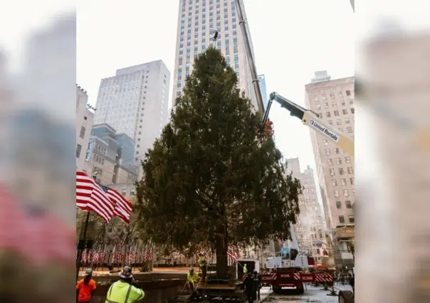 El Rockefeller Center recibe su icónico árbol navideño en Nueva York