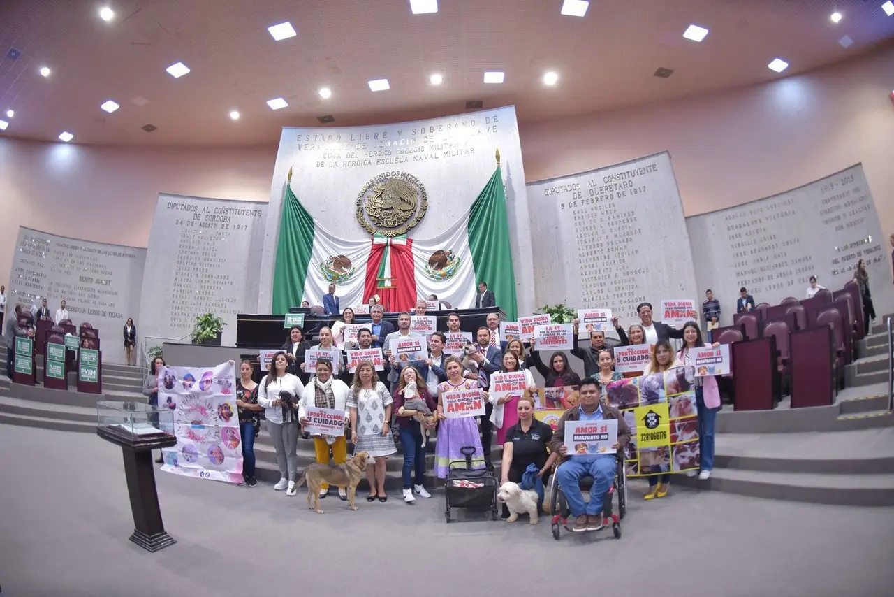 Veracruz eleva a constitucional la protección de los animales. Foto: Rosalina Morales