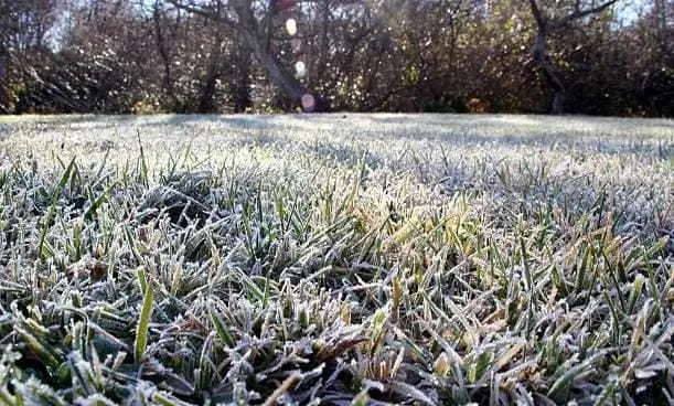 Así puedes proteger tus cultivos y viviendas ante las heladas del invierno. Foto: iStock