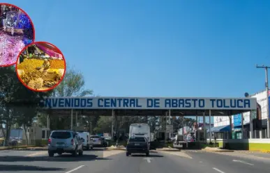 Bazar navideño en Central de Abastos de Toluca, consulta hasta cuándo