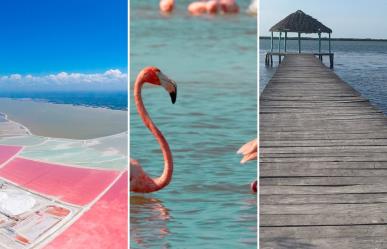 Turismo en Yucatán: Descubre lo que ofrece Río Lagartos para unas vacaciones de ensueño