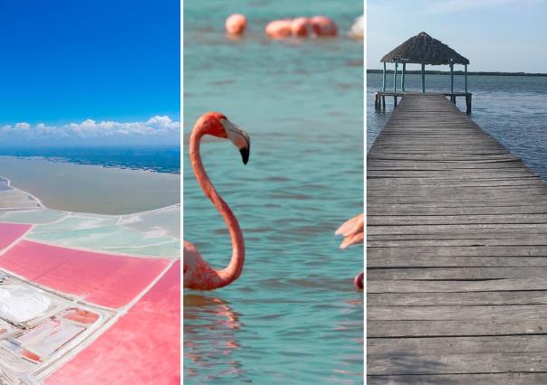 Turismo en Yucatán: Descubre lo que ofrece Río Lagartos para unas vacaciones de ensueño