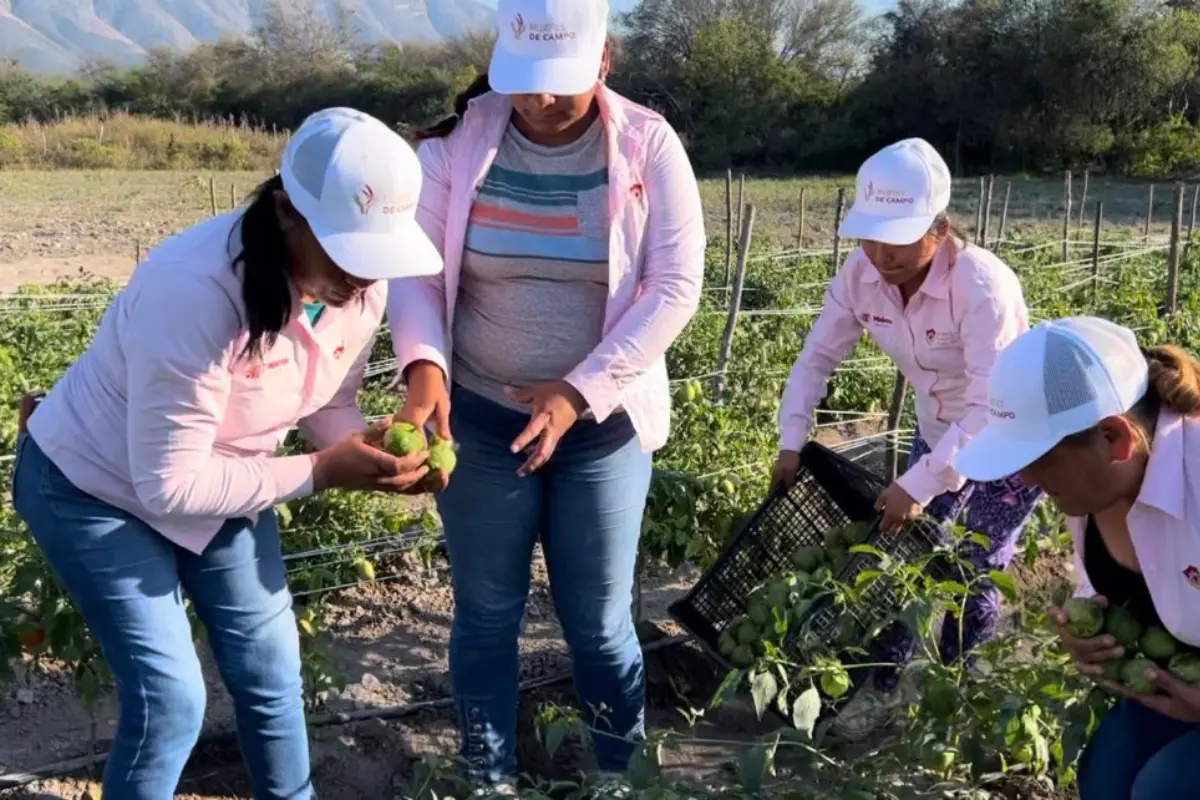 Mujeres del Campo es un programa pionero que busca empoderar a las mujeres de las zonas rurales. Foto: Daniel Espinoza